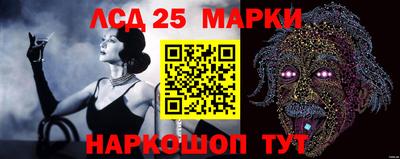 крисы Будённовск