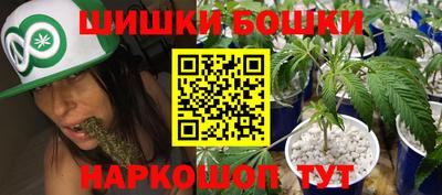 крисы Будённовск
